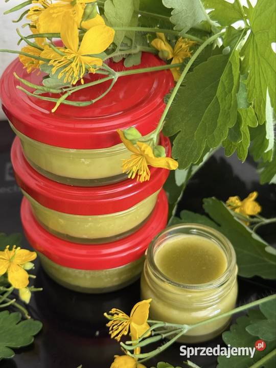 Maść z glistnika jaskółcze ziele na enzemę Puławy