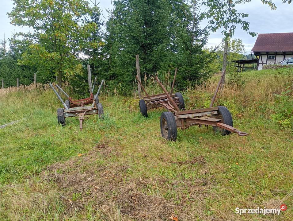 Wóz konny Srebrna Góra