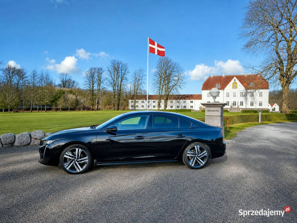 Peugeot 508 II 2018 wielkopolskie Sadlno