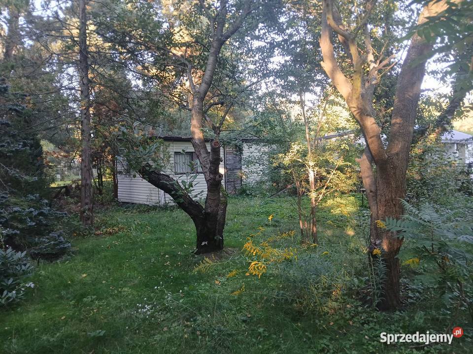 Działka ROD SokolnikiLas gmina Ozorków prąd Sokolniki-Las