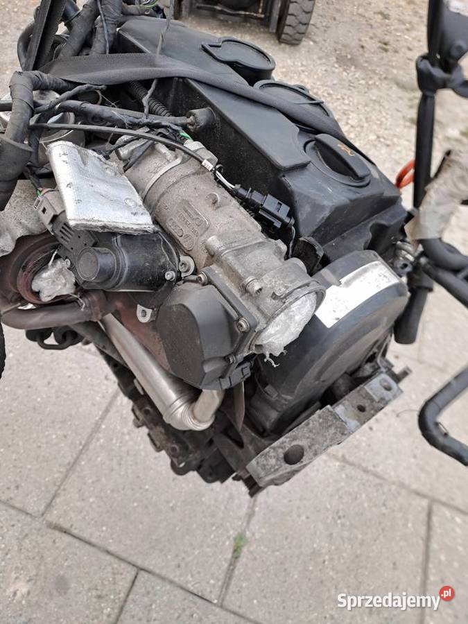 Audi Seat Skoda Volkswagen 19 TDi 105 silnik śląskie Jastrzębie-Zdrój