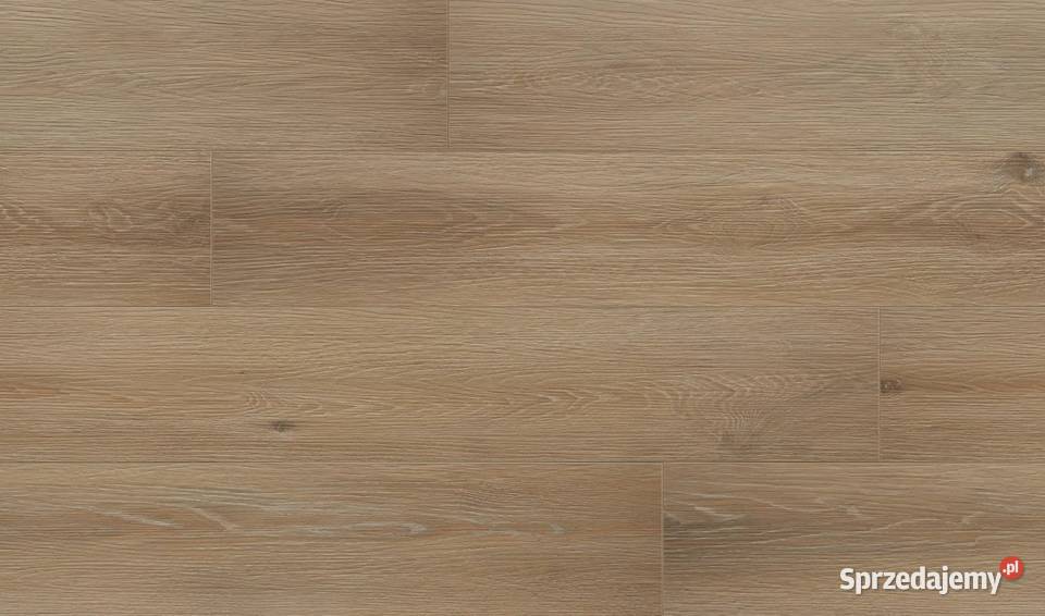 Panel Winylowy SPC NOBLE OAK 182x122 4mm mazowieckie Warszawa
