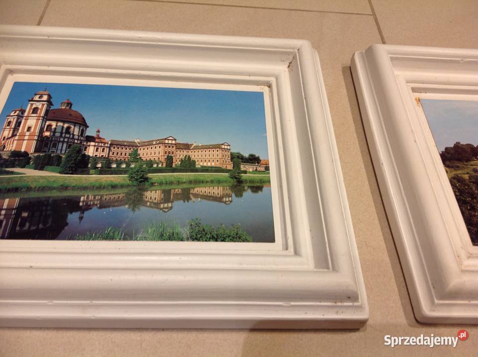 Stare Obrazki w Gipsowej Białej Ramce 2 lata Obrazki i obrazy Nowa Sól