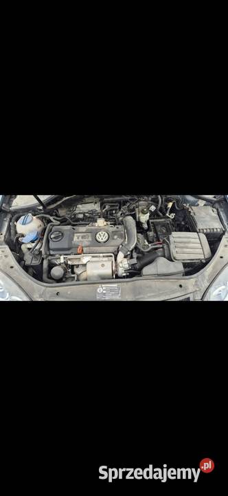 Volkswagen golf 5 Stargard