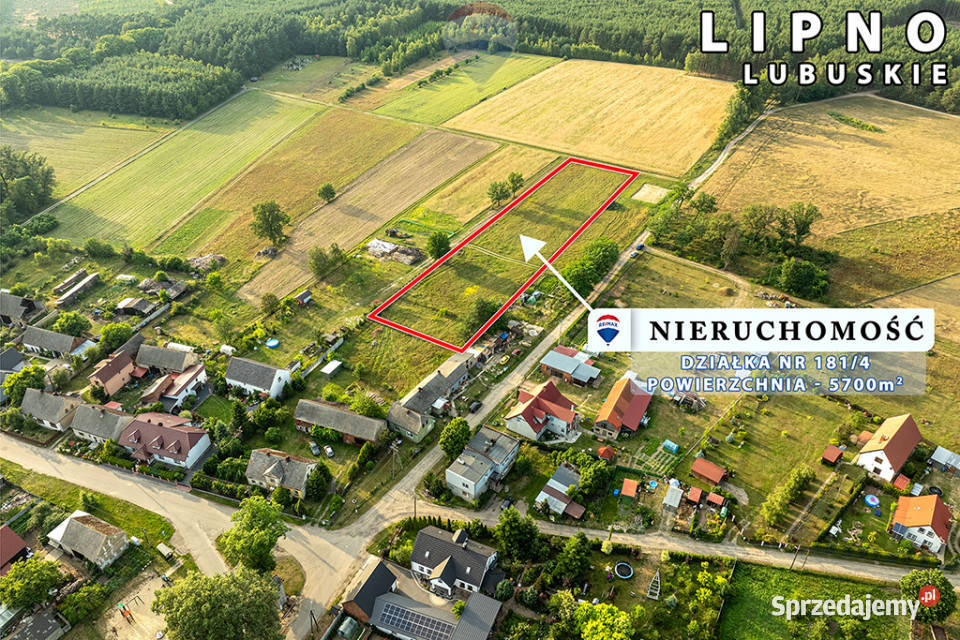 Na sprzedaż działka rolna 5700 m Grunty i działki