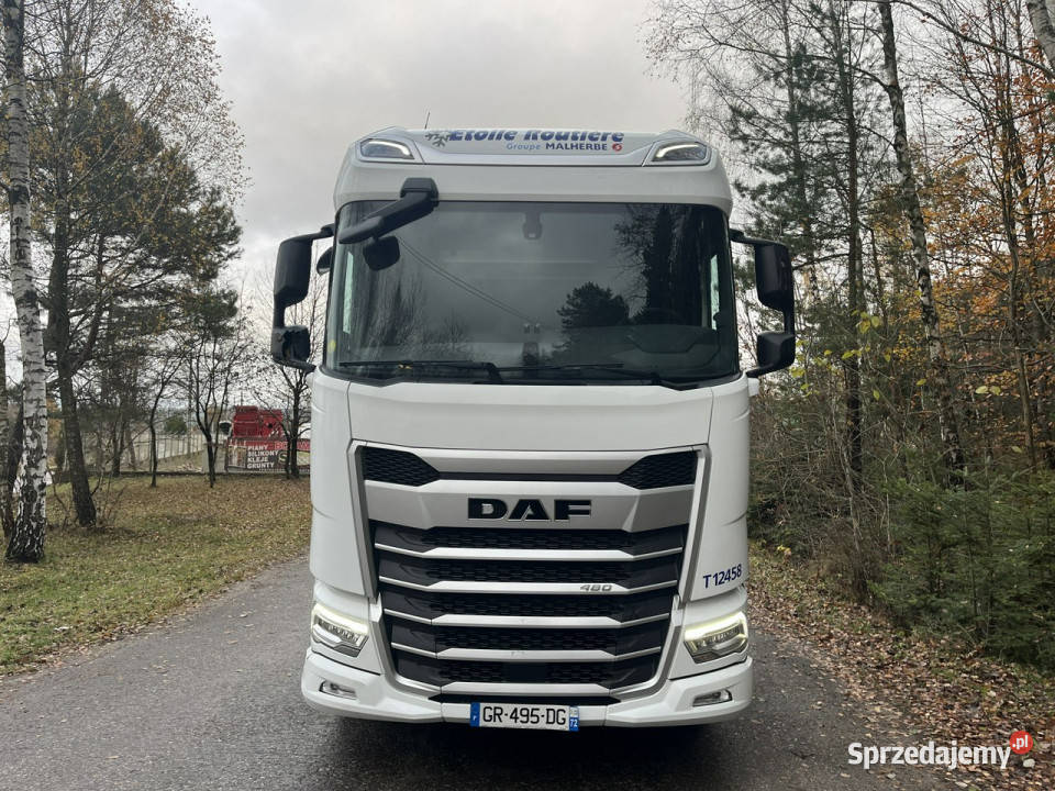 DAF XG480 DAF XG 480 diesel świętokrzyskie Zagnańsk