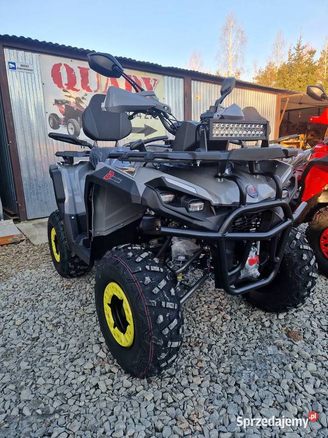Quad Diabolini Hammer 300PRO XL 200cc chłodzony Świerchowa