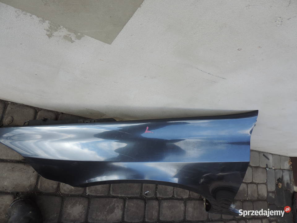 RENO LAGUNA 2 II BŁOTNIK LEWY PRZEDNI TEB66 osobowe Nowy Sącz