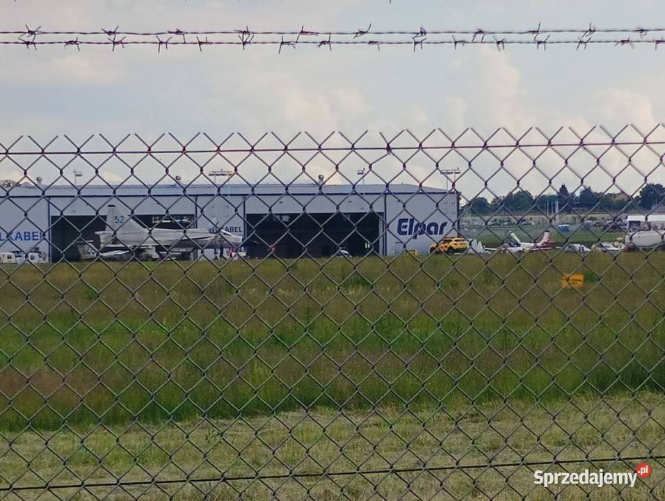 Szczeniaki bokser Bokser Łęczna sprzedam