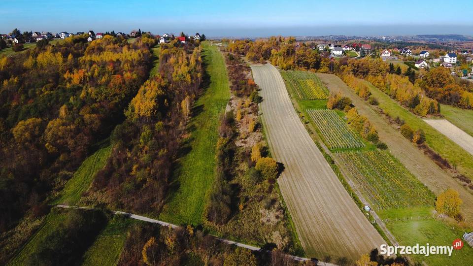 Lanckorona widokowa działka budowlanorolna 93ar 9300m2