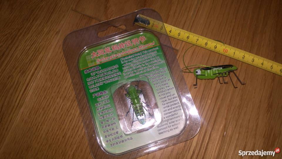 robak elektroniczny solarny owad bateria Łomianki
