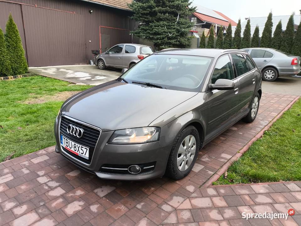 19 TDI 105 Diesel Nawigacja Klimatyzacja 1900cm3 Samochody osobowe Pińczów