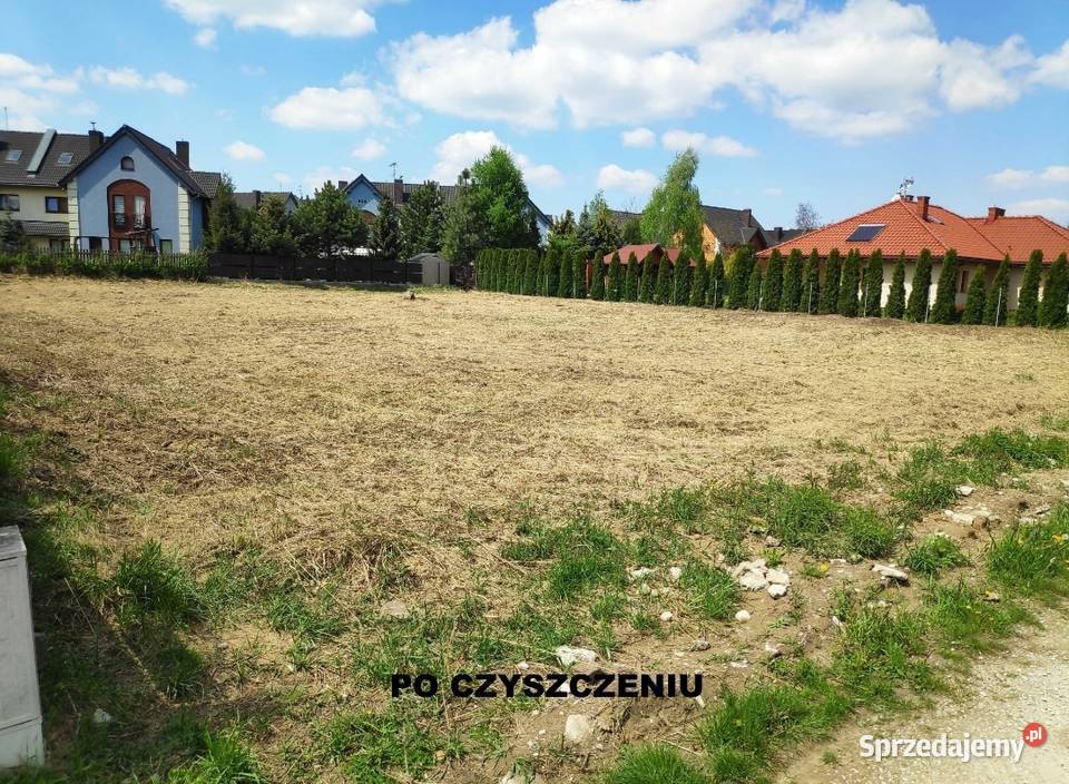 Koszenie nieużytków czyszczenie działek usługi mazowieckie Pruszków