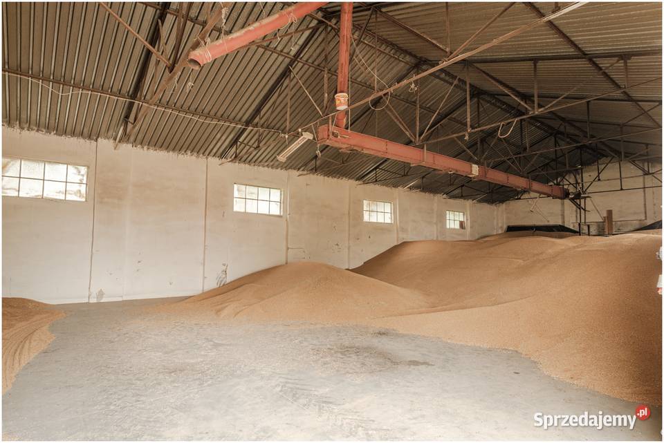 Magazyn grunt 23 ar idealny pod biznes Wilków
