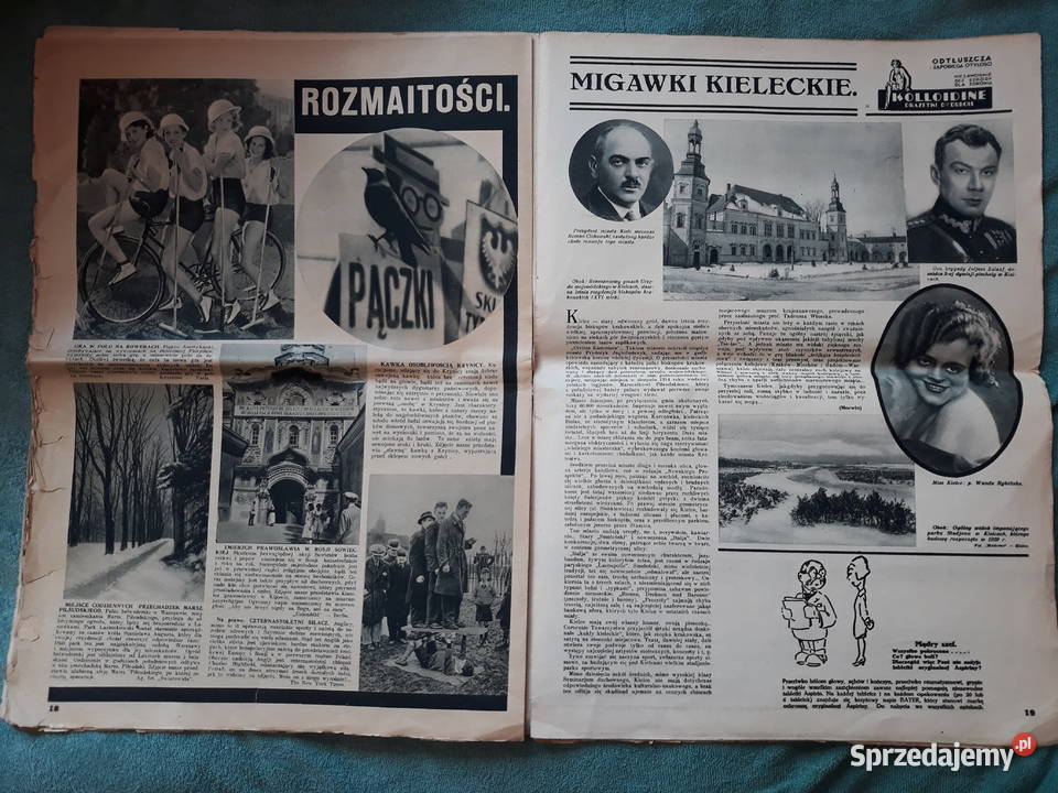 ŚWIATOWID 26031932 Pozostałe sprzedam