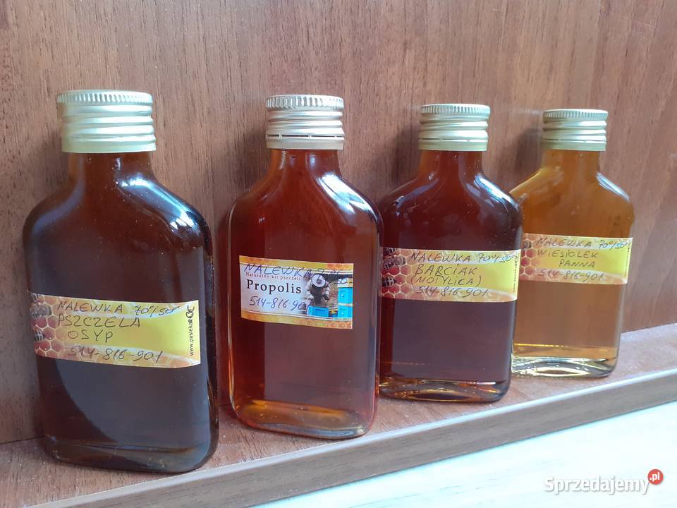 Martwę pszczoły Podmor Osyp pszczół Na prostate Pszczelarstwo Warszawa