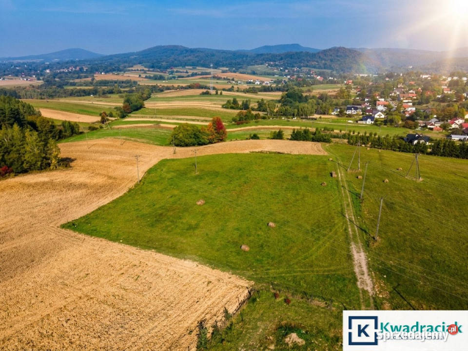 Do sprzedaży działka 3683m2 Trepcza Nieruchomości