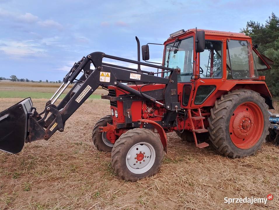 Sprzedam MTZ 82 Belarus Napęd 4x4 MTZ Piotrków Trybunalski sprzedam