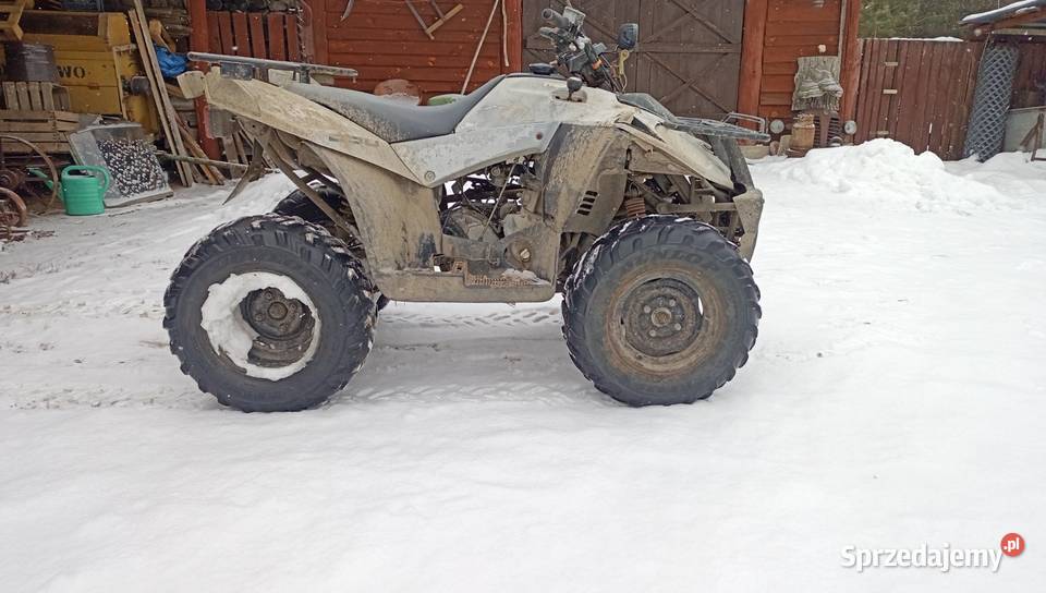 Sym 250 Eton Duży Kład transportzamoana nieuszkodzony Płosków