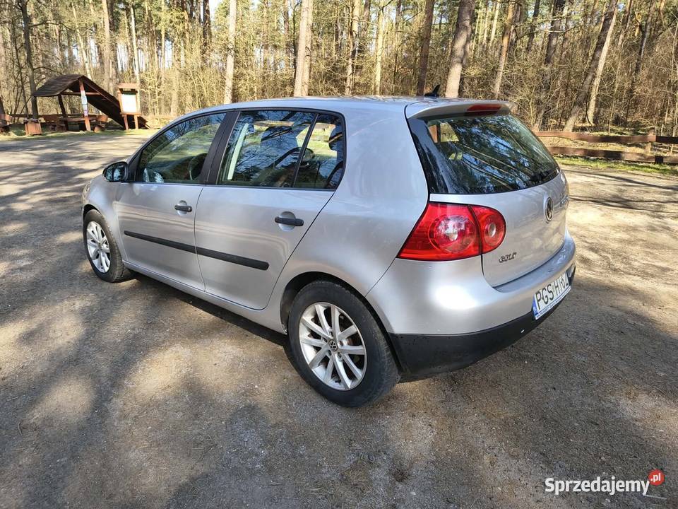 Volkswagen Golf V 2006 Golf Golf lubuskie Czerna