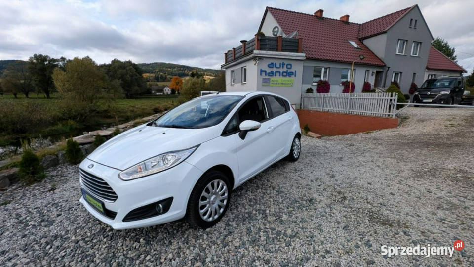 Ford Fiesta 125 benzyna Mk7 2008 biały Fiesta Kamienna Góra sprzedam