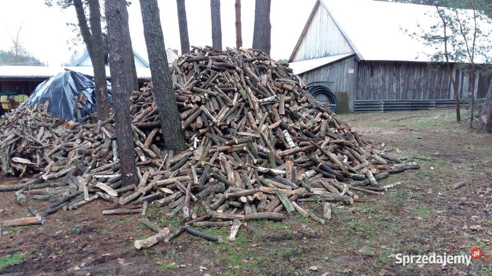 Drewno drzewo opałowe sosna dąb liściaste Łosice