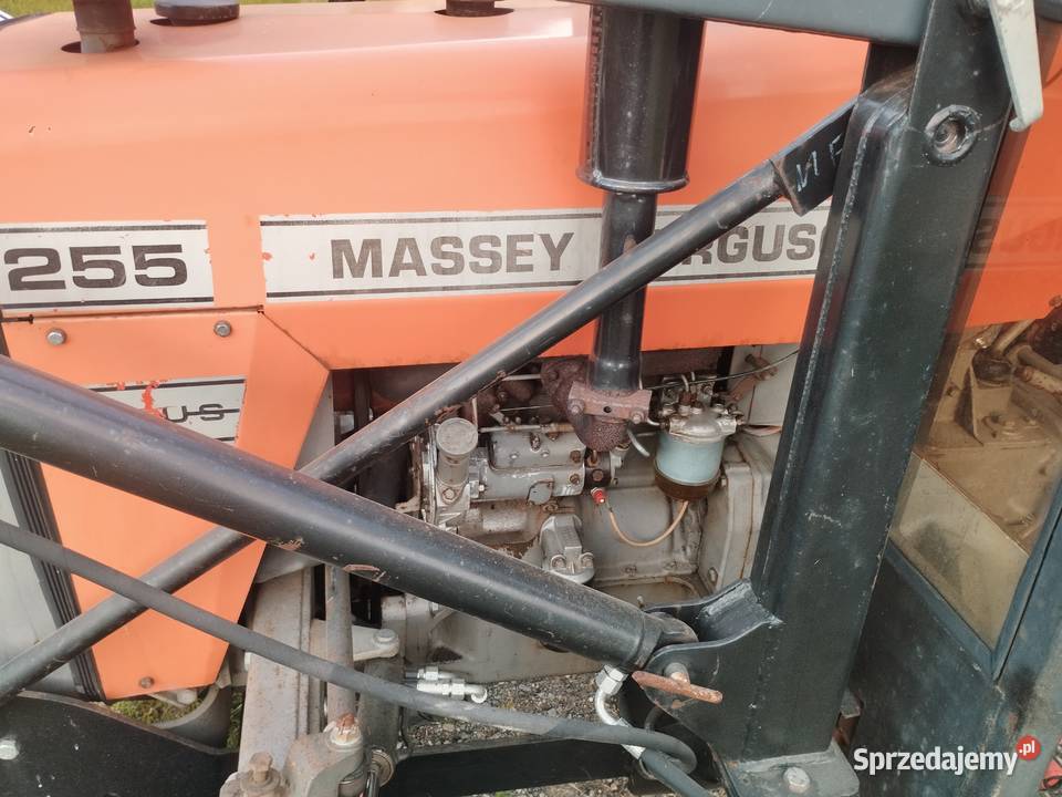 Massey Ferguson 255 Niepoczołowice