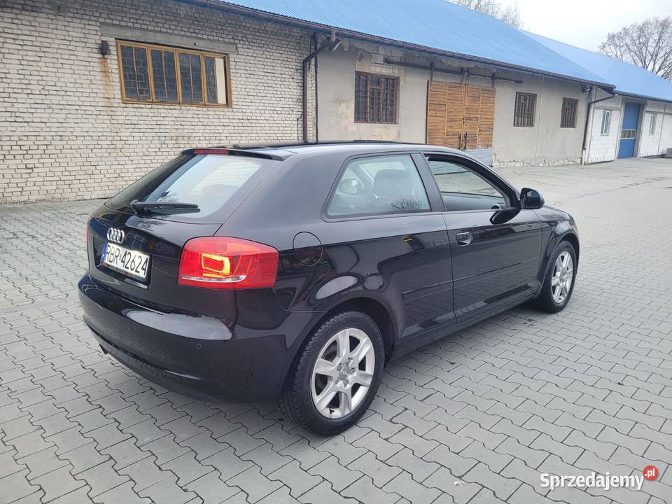 AUDI A3 8P 16 TDI 2010 CD podkarpackie Haczów