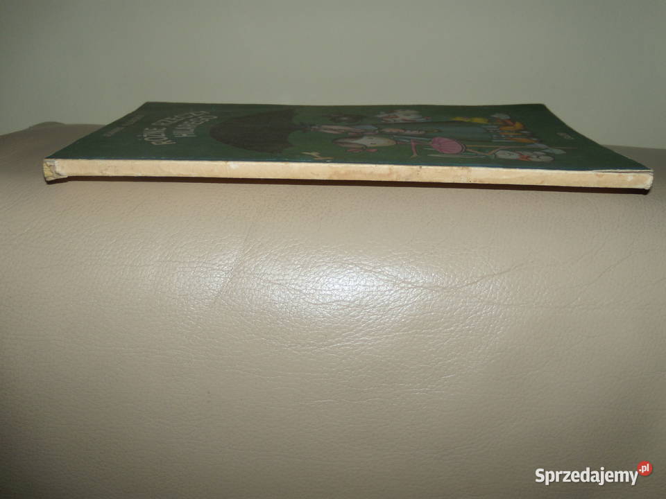 Różne rzeczy Hilarego Joanna Kulmowa Warszawa