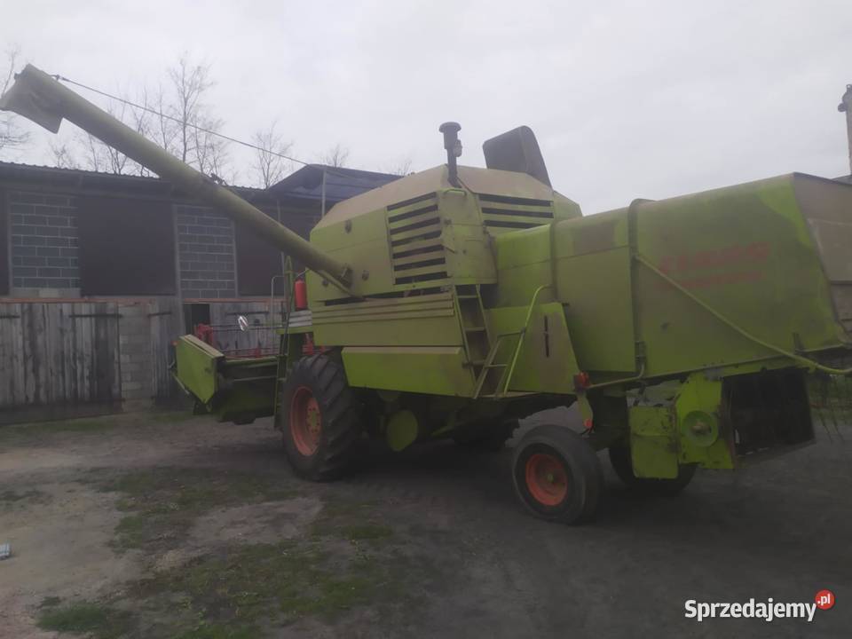 kombajn claas senator Koźminek