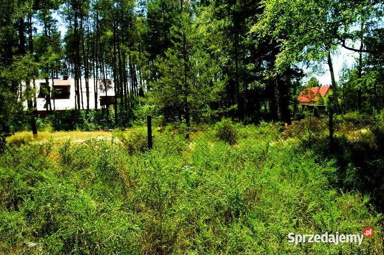 7810m2działka bud 4965m22845m2LAS Sprzedaż Kania Góra sprzedam