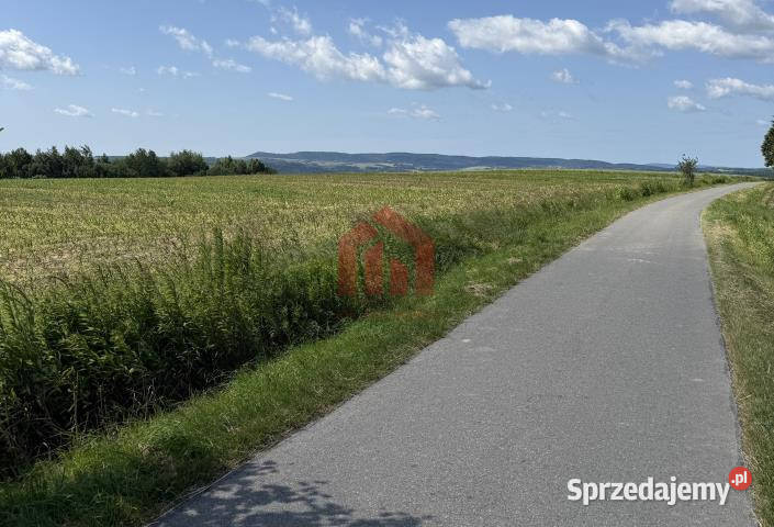 sprzedaży gruntu 3000m2 Brzeziny budowlana