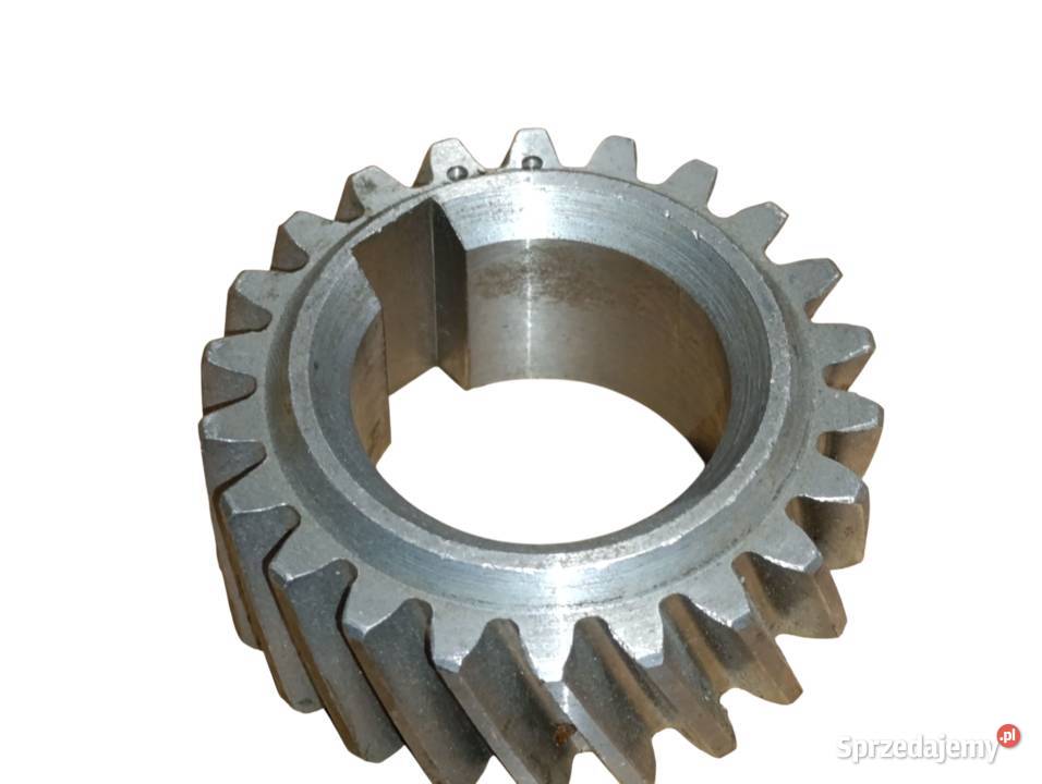 Koło zębate 2401005030A MTZ 2401005030A Tyczyn