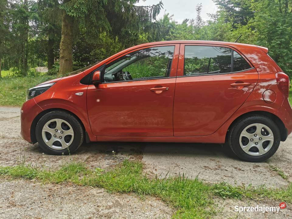 Kia Picanto III 12 84 Salon Polska serwis ASO nieuszkodzony Jabłonna Pierwsza sprzedam