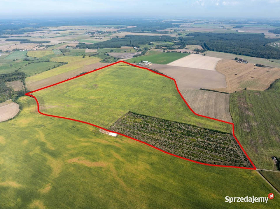 Inwestycyjna rolna działka Łubowice obok 448500m2 wielkopolskie