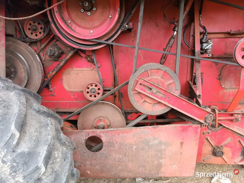 Bizon z 056 1977r Werynia