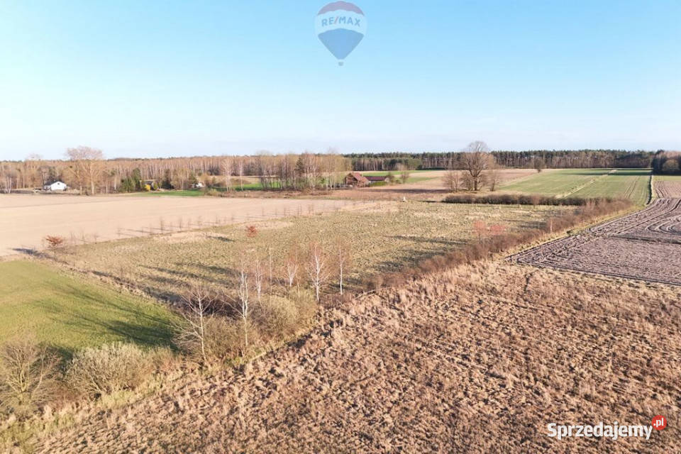 Ponad hektar przestrzeni 40 minut Warszawy Korabiewice