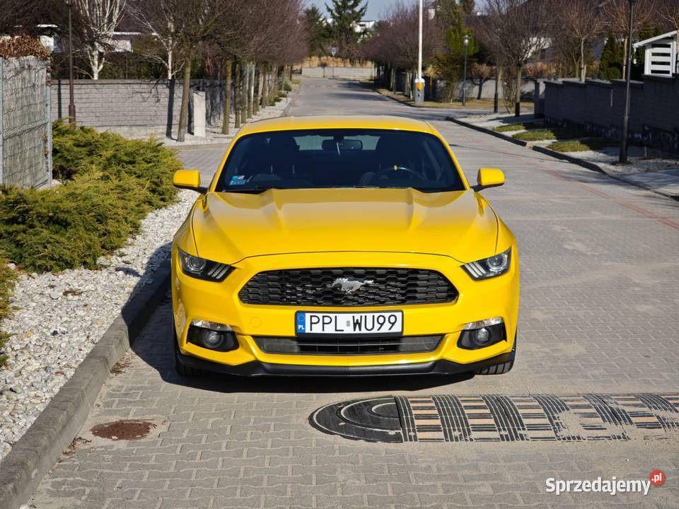 Ford Mustang 2015 37 V6 Kalisz