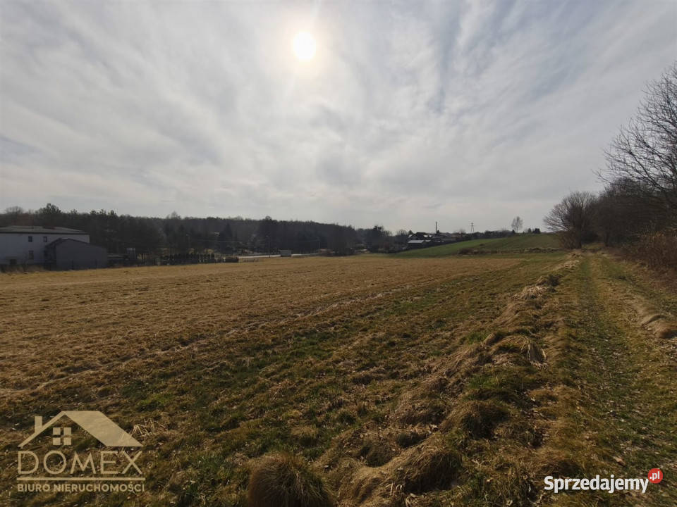 Działka Radlin 3467m2 polna śląskie Wodzisław Śląski