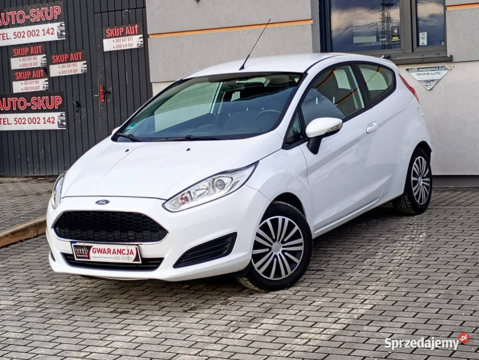 Ford Fiesta Ford Fiesta 13 pb ładna Mk7 2008 Chełm Śląski