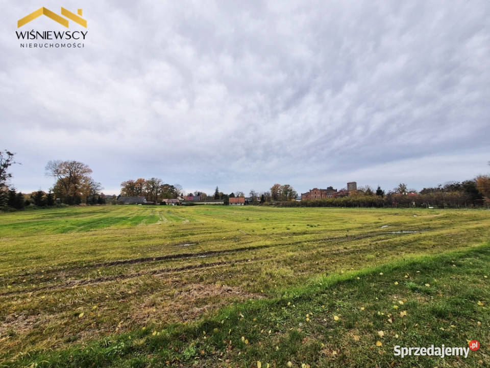 Działki z wydanymi warunkami zabudowy Wysoka