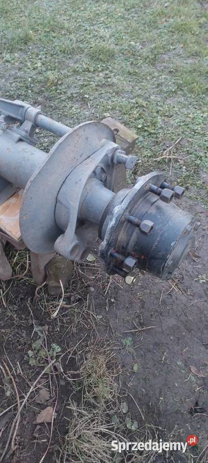 Os mocna Pozostałe podkarpackie Bolestraszyce