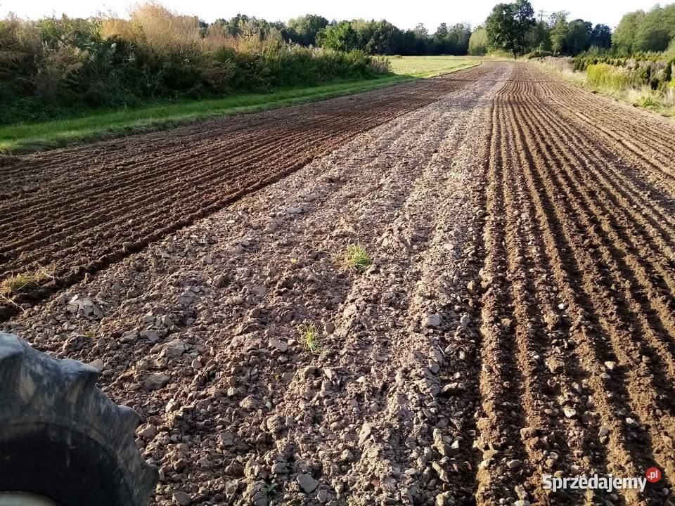 Siewnik Zbożowy Amazone DL 275 90r Drobny Wysiew