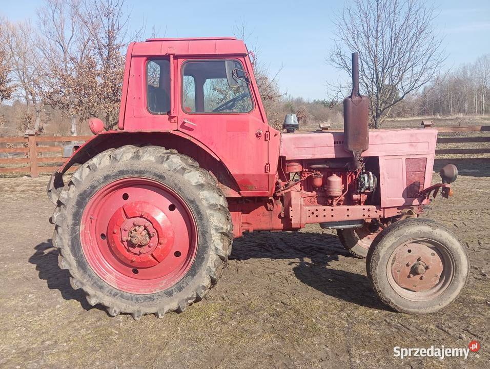 Sprzedam Mtz 50 lubelskie Pisklaki