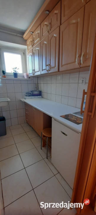 Mieszkanie do wynajęcia Pabianice 27m z balkonem sprzedam