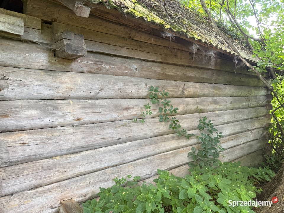 Stodola drewniana z bali do rorbiorki lubelskie