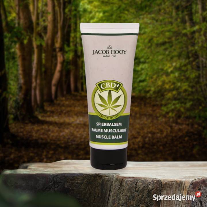 Jacob Hooy Balsam do Mięśni CBD Spierbalsem 75ml Unisex Łódź