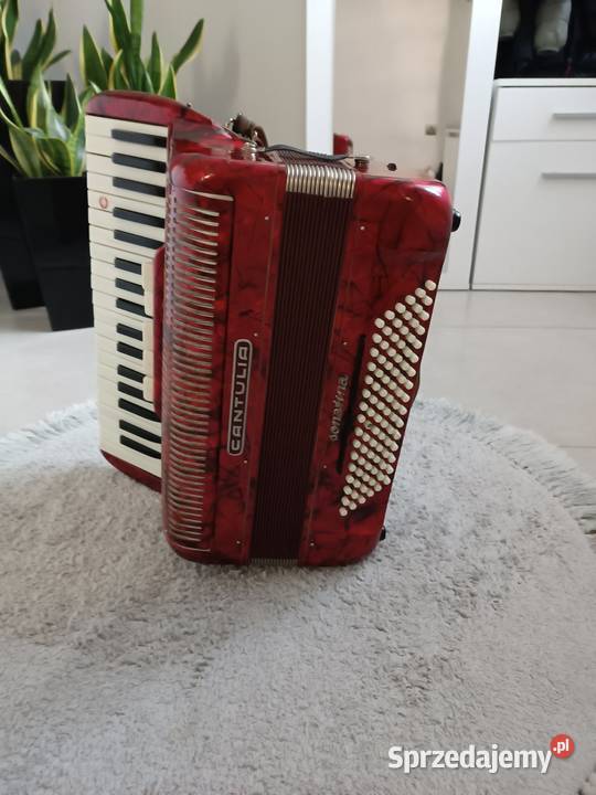 Akordeon cantulia 96 basów Dębica