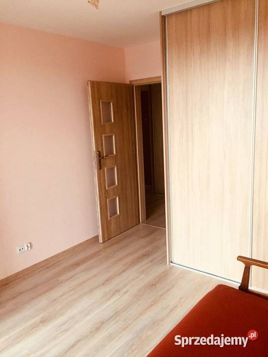 Mieszkanie do wynajęcia super okolica Wynajem Albigowa
