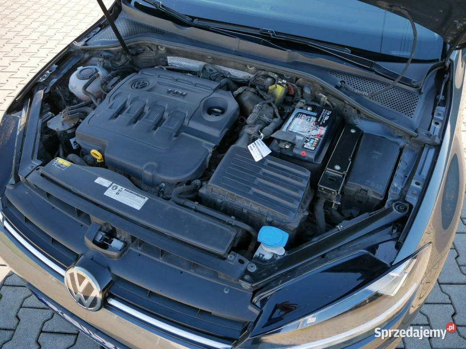 Volkswagen Golf 16 TDI 115 Eu6 Kombi Krajowy isofix Goczałkowice-Zdrój